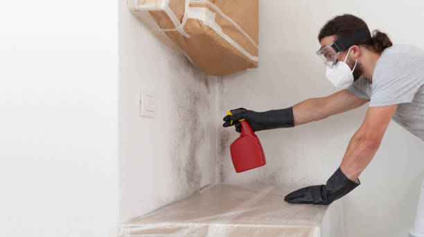 Professional Commercial Mold Remediation technician working in Somerville, MA